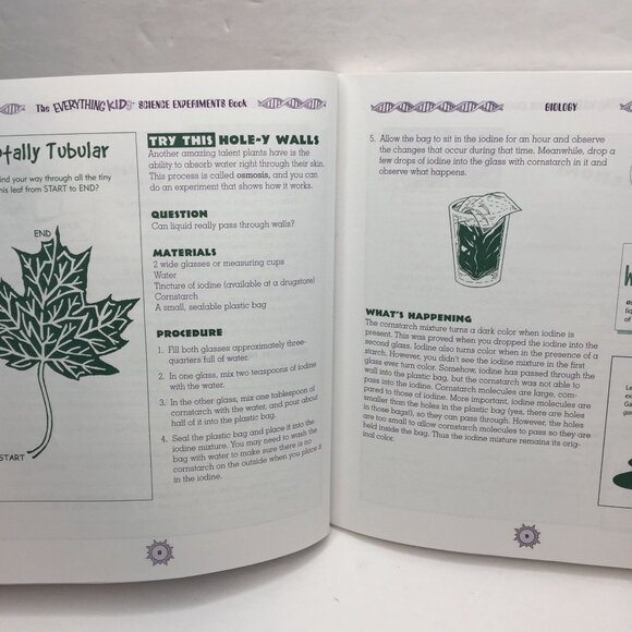 Adams Media The Everything Kids' Science Experiments Book Children Learning Fun - Picture 3 of 9